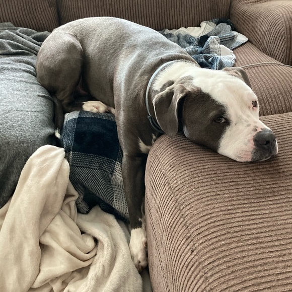 Meet your Posher, Francesca - Picture 12 of 16